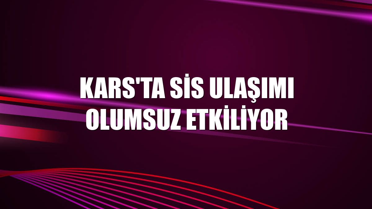 Kars'ta sis ulaşımı olumsuz etkiliyor