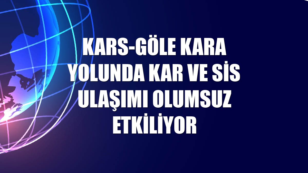 Kars-Göle kara yolunda kar ve sis ulaşımı olumsuz etkiliyor