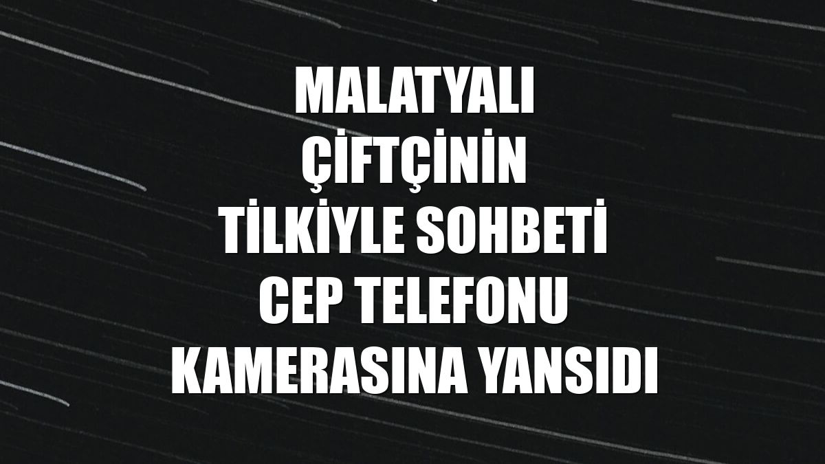 Malatyalı çiftçinin tilkiyle sohbeti cep telefonu kamerasına yansıdı
