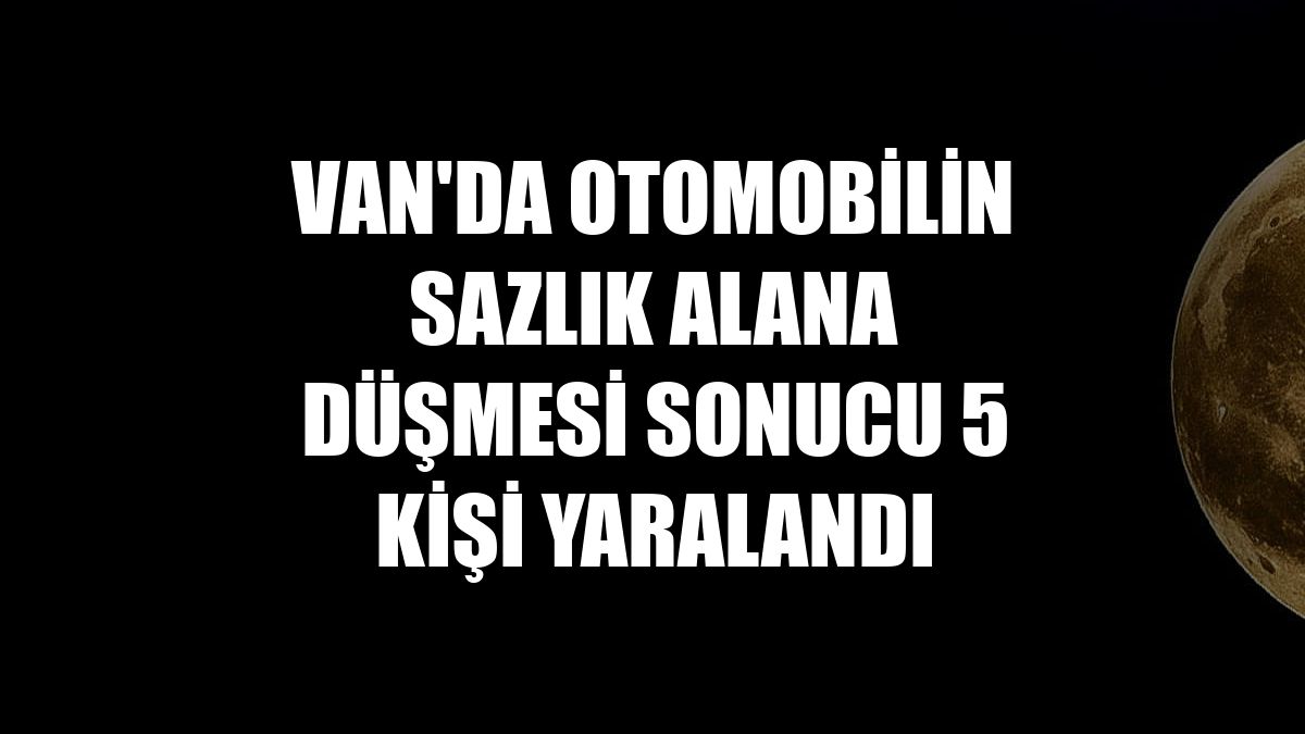 Van'da otomobilin sazlık alana düşmesi sonucu 5 kişi yaralandı