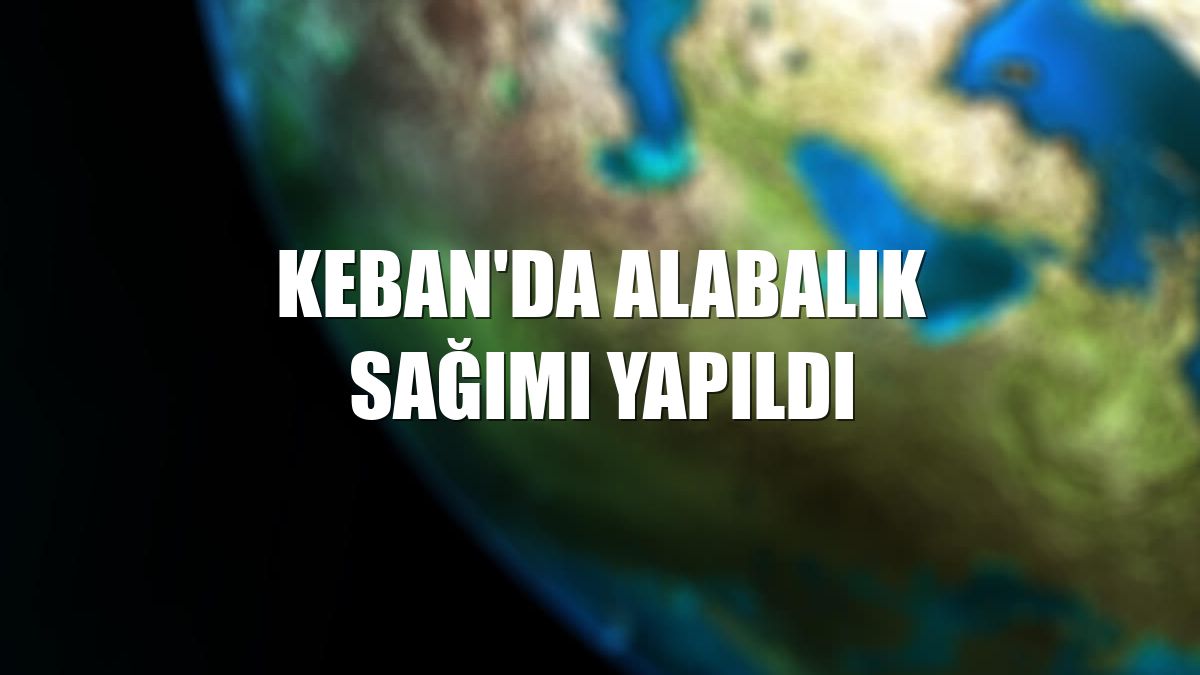 Keban'da alabalık sağımı yapıldı