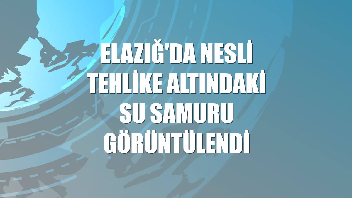 Elazığ'da nesli tehlike altındaki su samuru görüntülendi