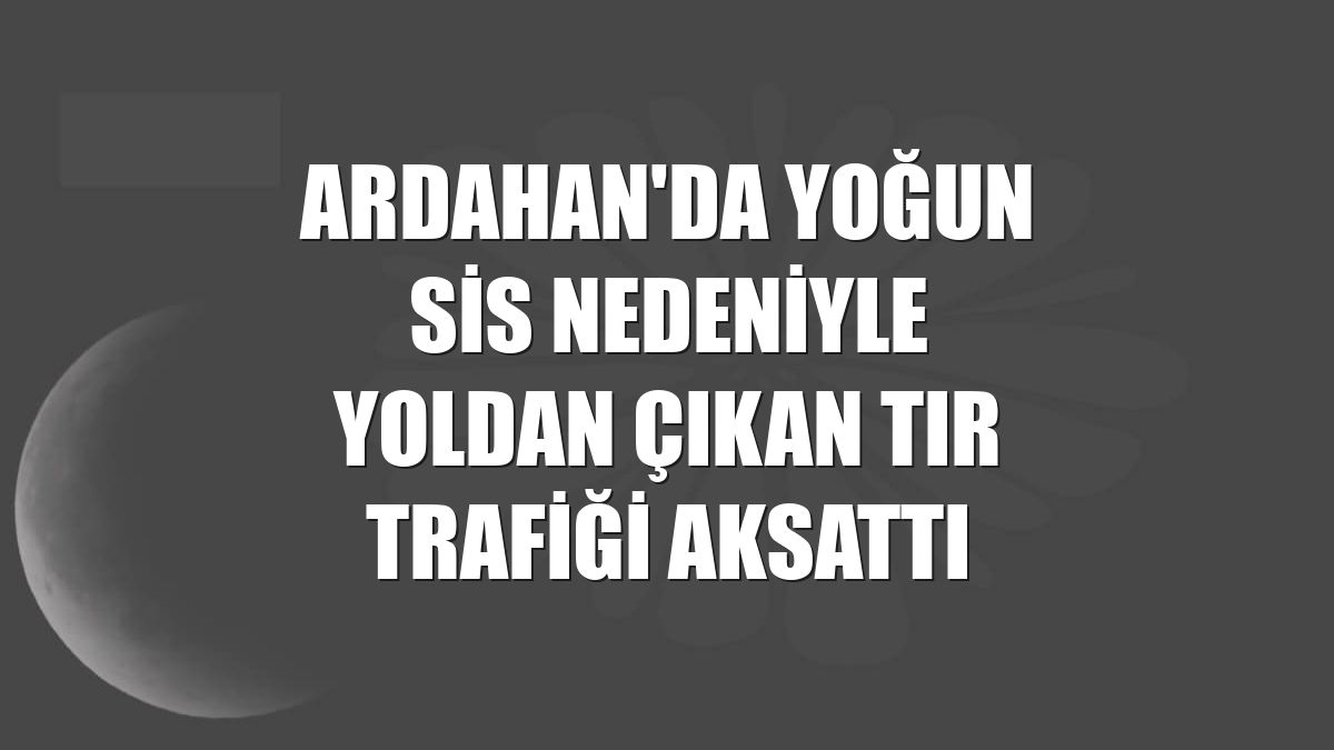 Ardahan'da yoğun sis nedeniyle yoldan çıkan tır trafiği aksattı