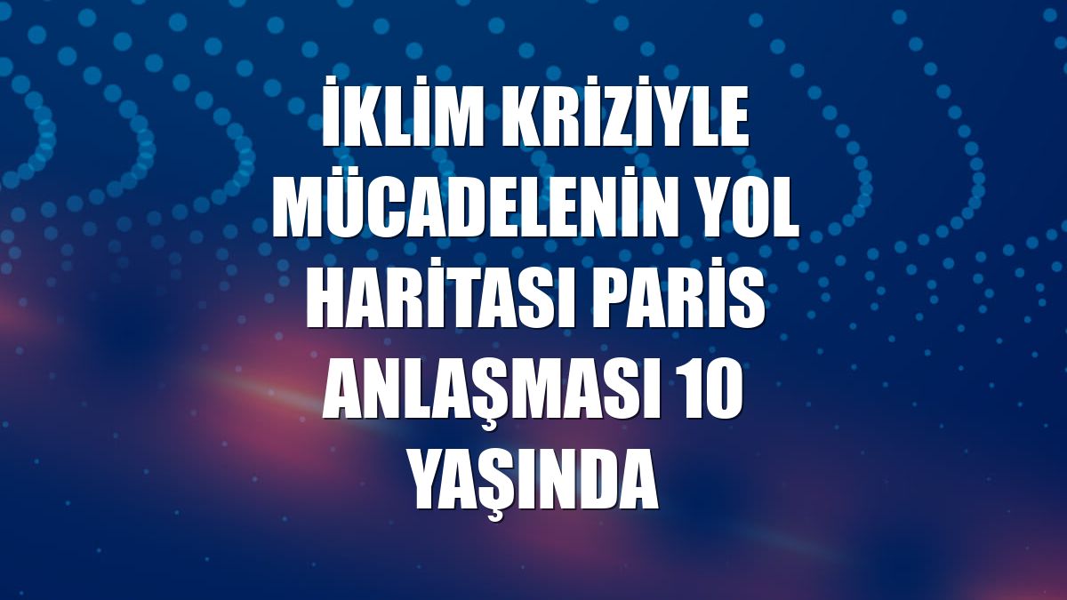 İklim kriziyle mücadelenin yol haritası Paris Anlaşması 10 yaşında
