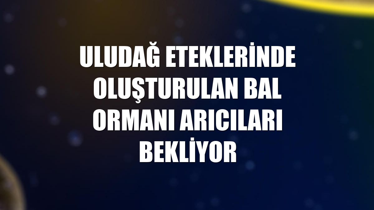 Uludağ eteklerinde oluşturulan bal ormanı arıcıları bekliyor