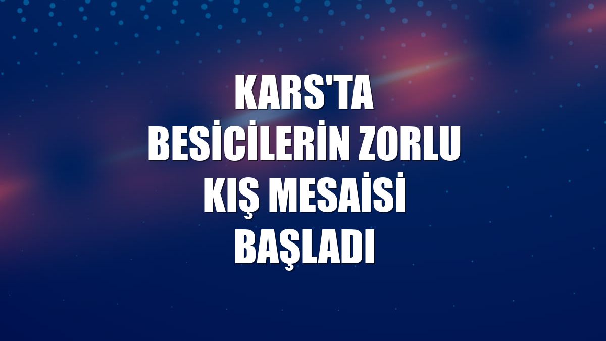 Kars'ta besicilerin zorlu kış mesaisi başladı