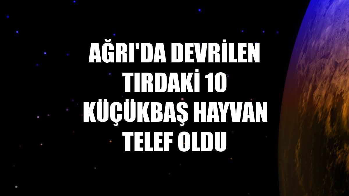 Ağrı'da devrilen tırdaki 10 küçükbaş hayvan telef oldu