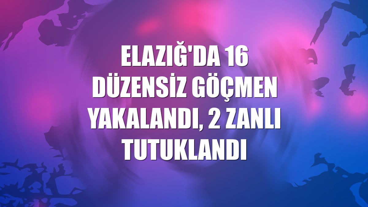 Elazığ'da 16 düzensiz göçmen yakalandı, 2 zanlı tutuklandı
