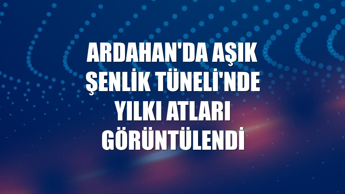 Ardahan'da Aşık Şenlik Tüneli'nde yılkı atları görüntülendi
