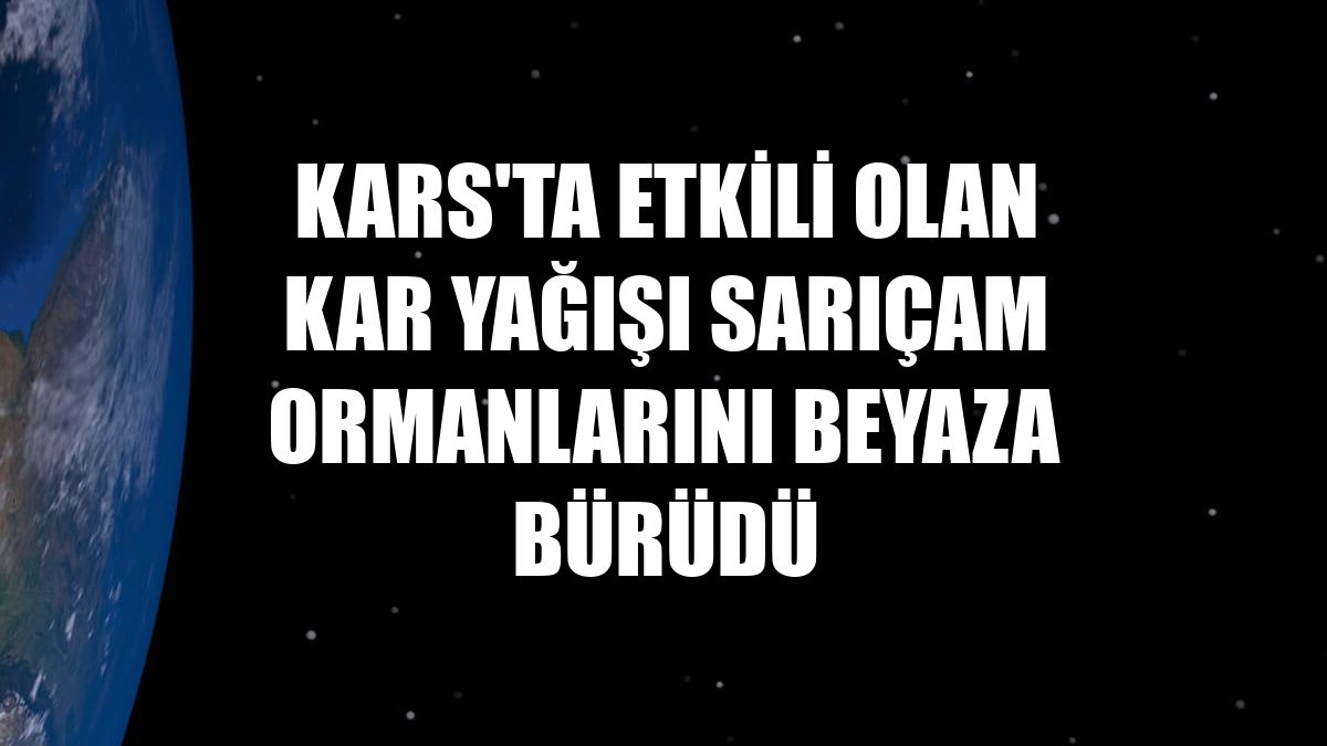 Kars'ta etkili olan kar yağışı sarıçam ormanlarını beyaza bürüdü