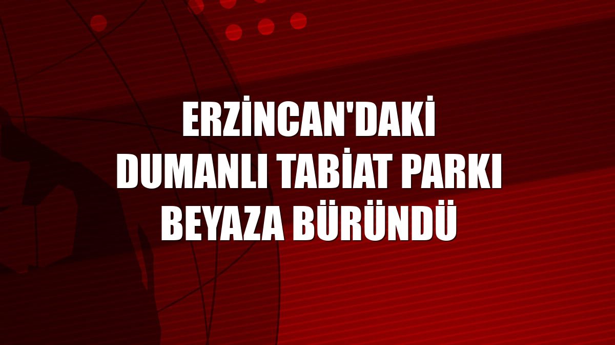 Erzincan'daki Dumanlı Tabiat Parkı beyaza büründü