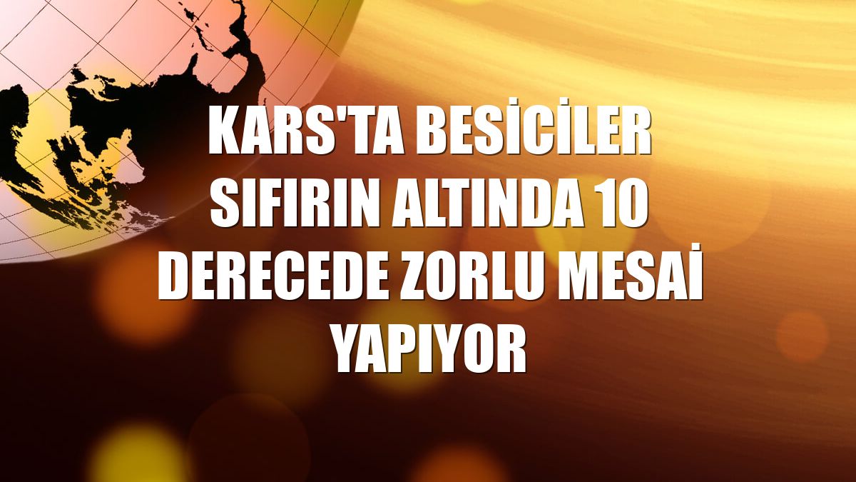 Kars'ta besiciler sıfırın altında 10 derecede zorlu mesai yapıyor