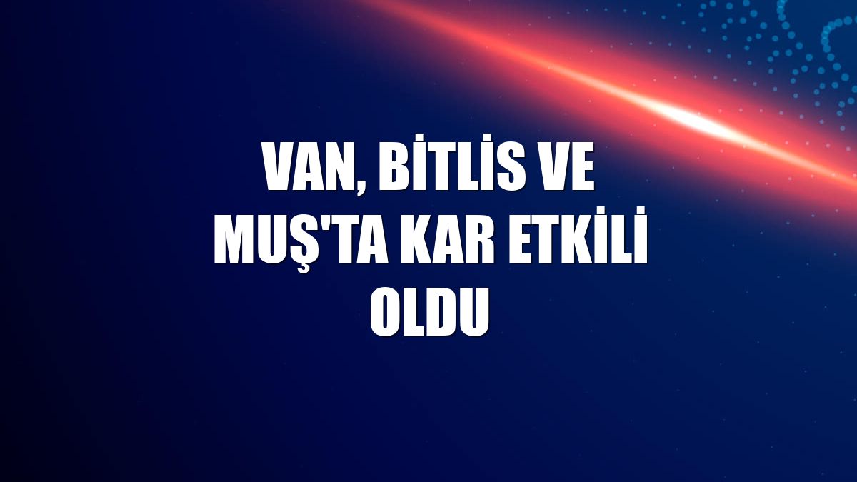 Van, Bitlis ve Muş'ta kar etkili oldu