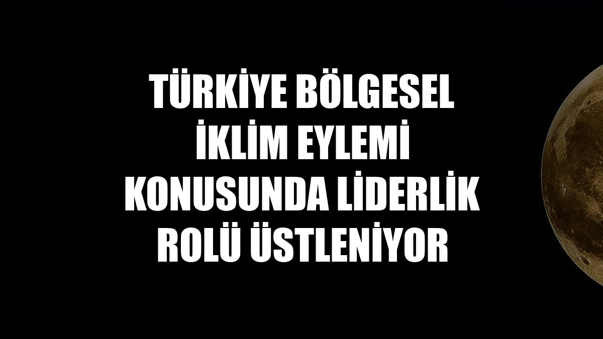 Türkiye bölgesel iklim eylemi konusunda liderlik rolü üstleniyor