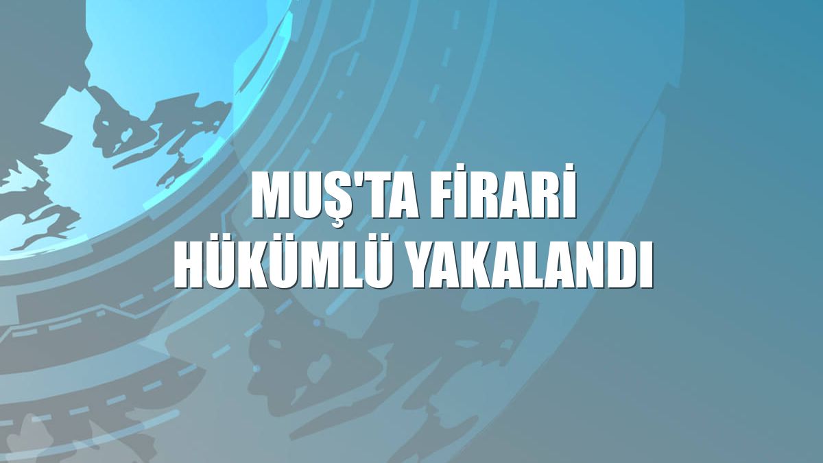 Muş'ta firari hükümlü yakalandı