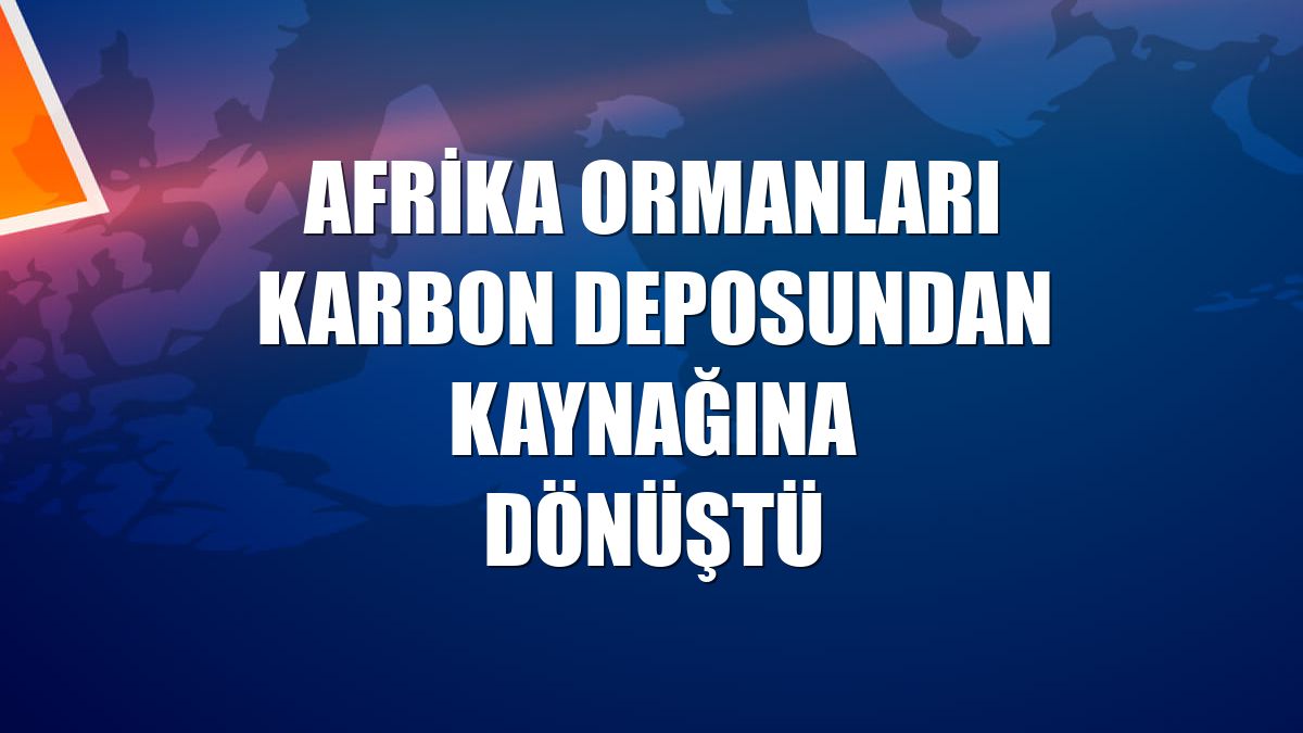 Afrika ormanları karbon deposundan kaynağına dönüştü