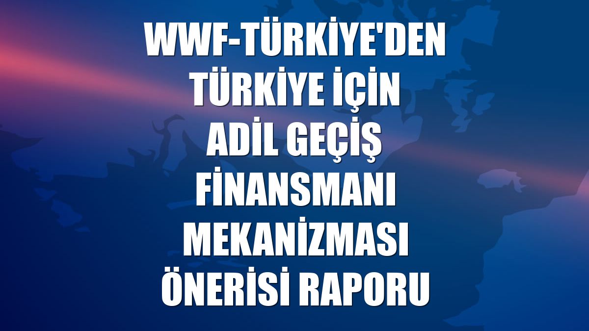 WWF-Türkiye'den Türkiye İçin Adil Geçiş Finansmanı Mekanizması Önerisi raporu