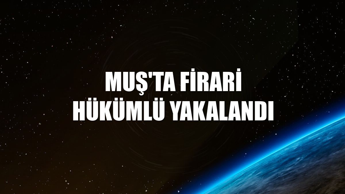 Muş'ta firari hükümlü yakalandı