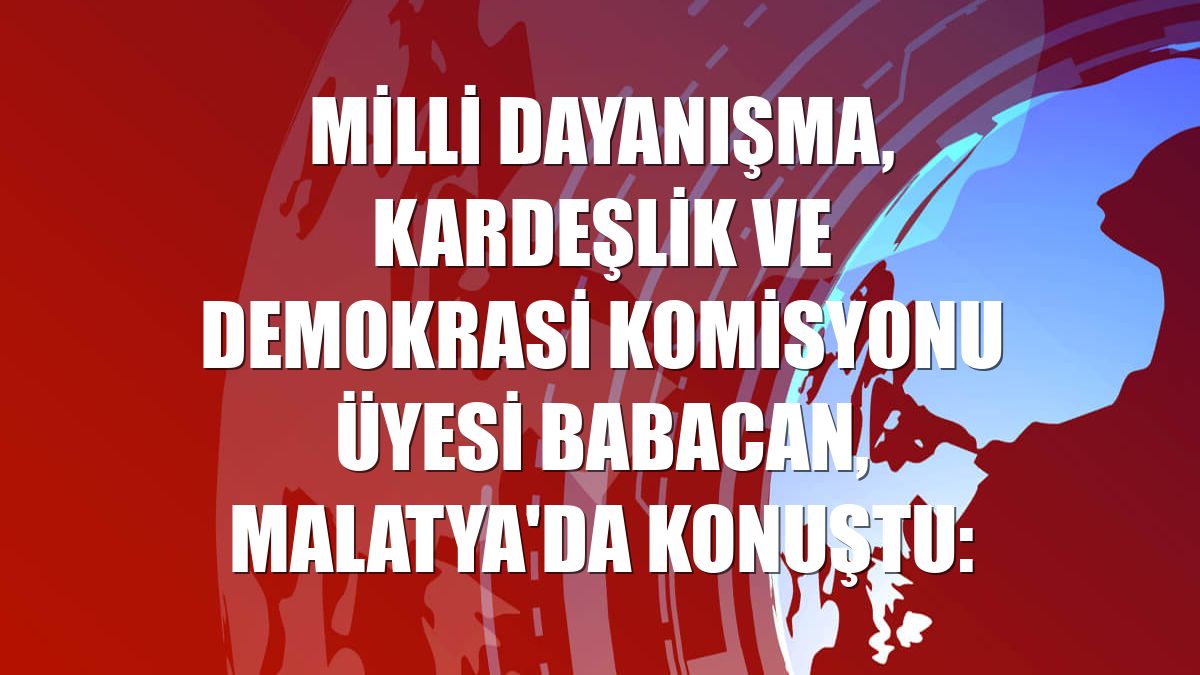 Milli Dayanışma, Kardeşlik ve Demokrasi Komisyonu Üyesi Babacan, Malatya'da konuştu:
