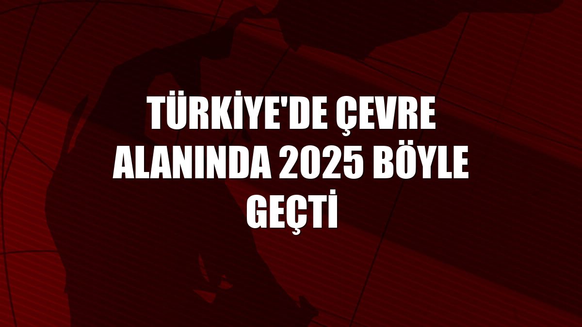 Türkiye'de çevre alanında 2025 böyle geçti