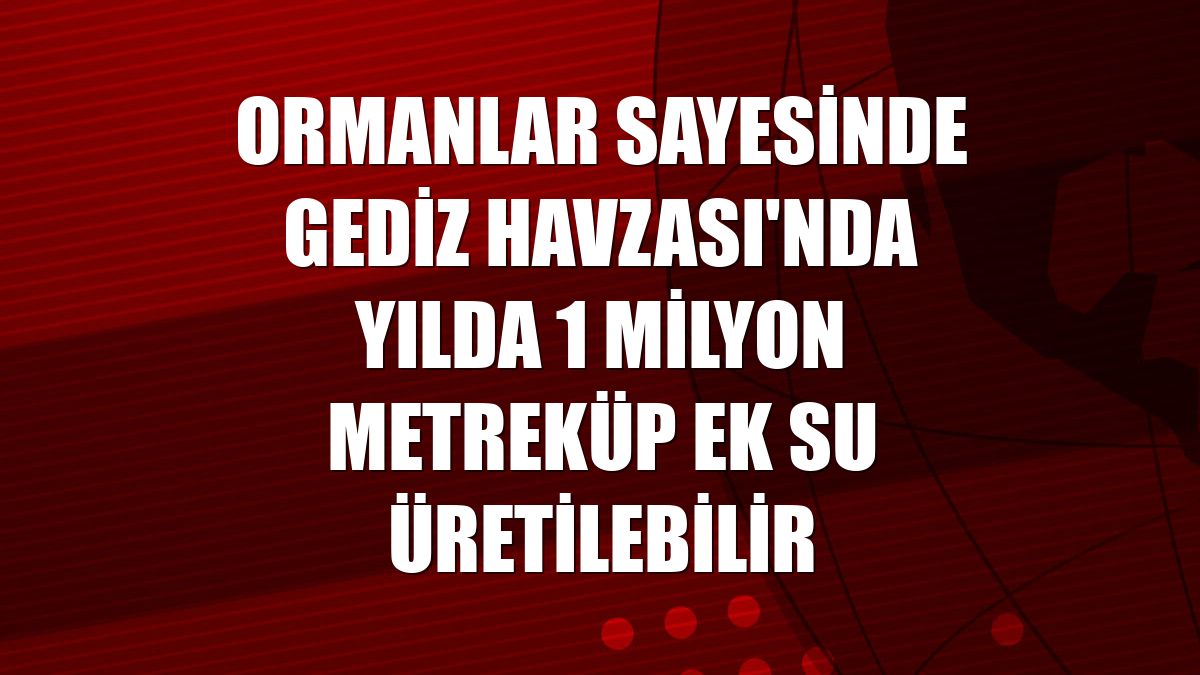 Ormanlar sayesinde Gediz Havzası'nda yılda 1 milyon metreküp ek su üretilebilir