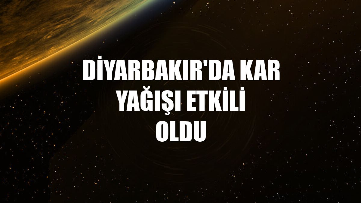 Diyarbakır'da kar yağışı etkili oldu