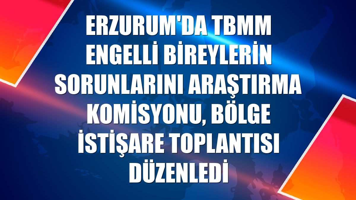 Erzurum'da TBMM Engelli Bireylerin Sorunlarını Araştırma Komisyonu, Bölge İstişare Toplantısı düzenledi