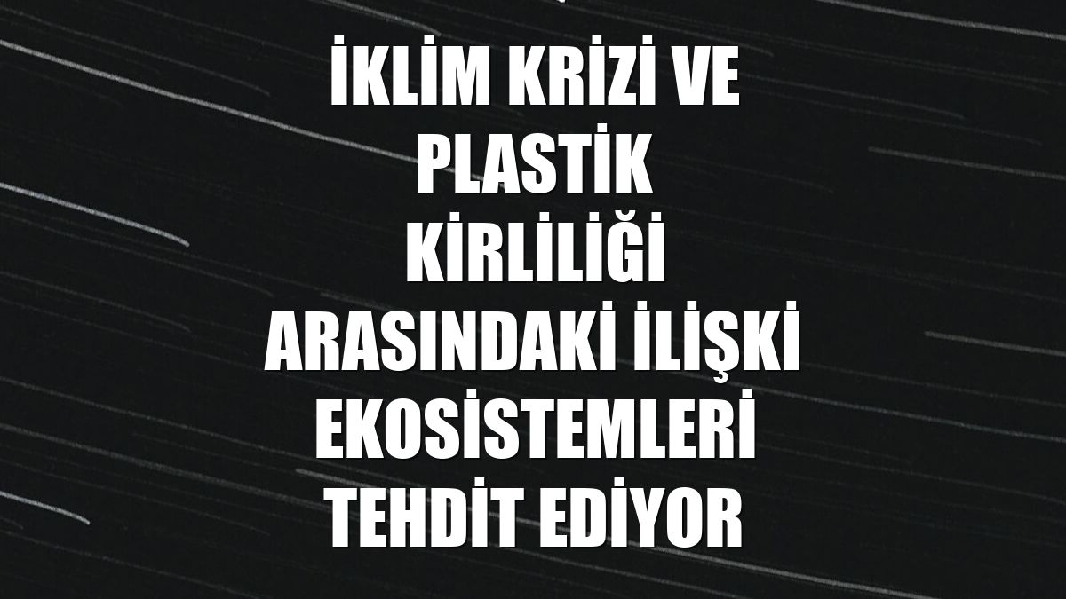 İklim krizi ve plastik kirliliği arasındaki ilişki ekosistemleri tehdit ediyor