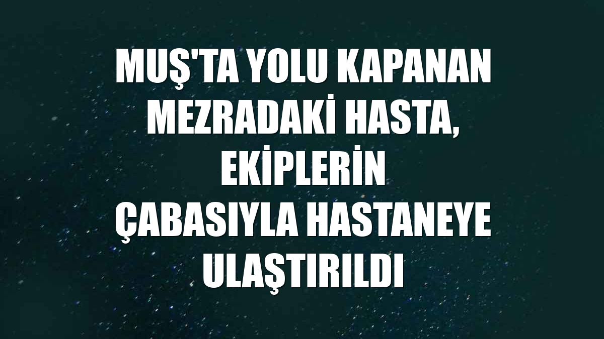 Muş'ta yolu kapanan mezradaki hasta, ekiplerin çabasıyla hastaneye ulaştırıldı