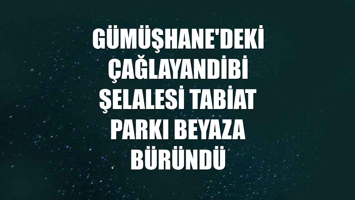 Gümüşhane'deki Çağlayandibi Şelalesi Tabiat Parkı beyaza büründü