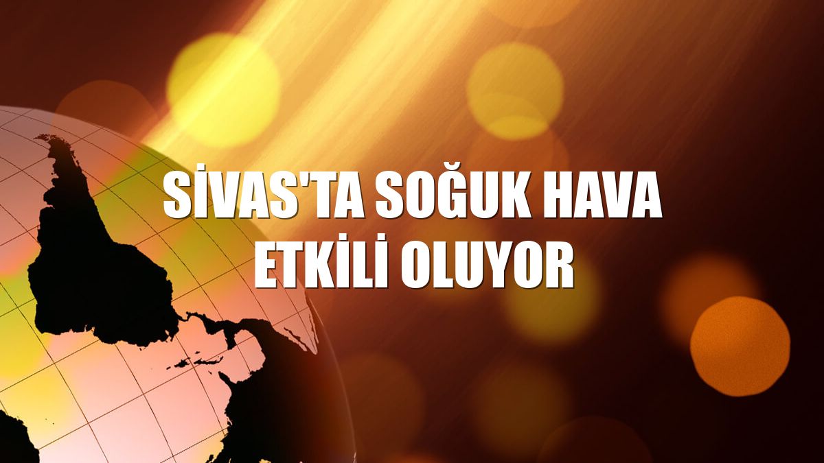 Sivas'ta soğuk hava etkili oluyor