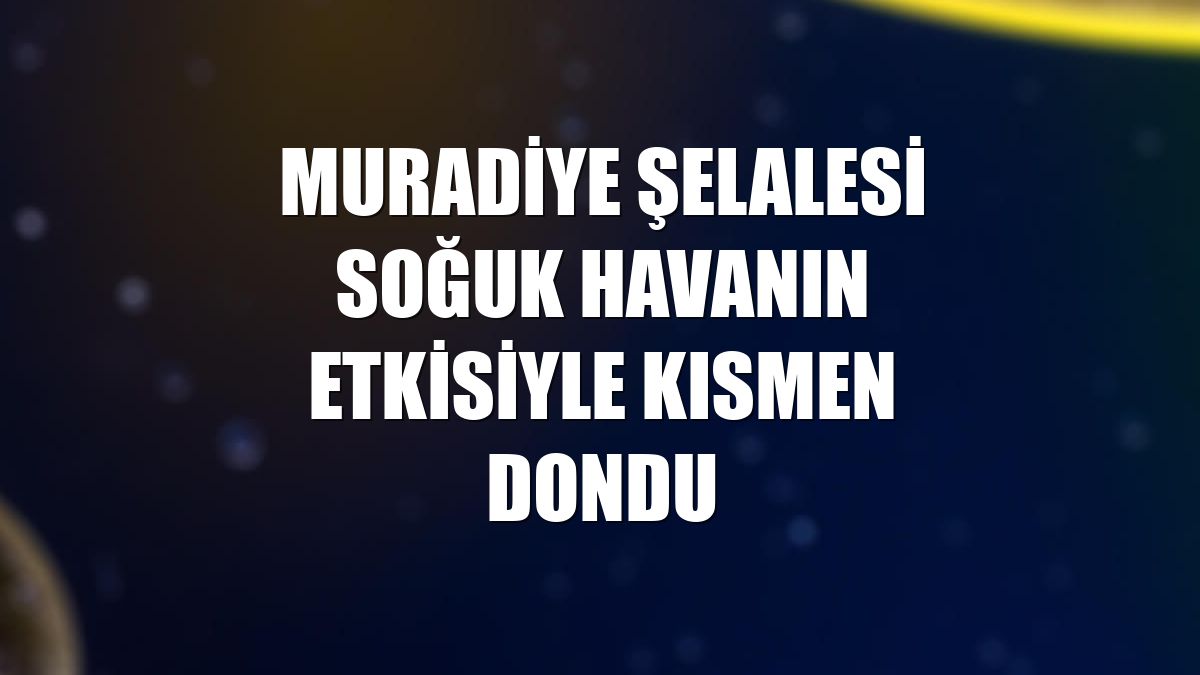 Muradiye Şelalesi soğuk havanın etkisiyle kısmen dondu