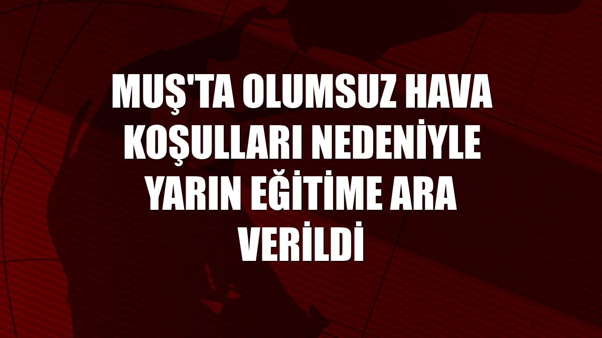 Muş'ta olumsuz hava koşulları nedeniyle yarın eğitime ara verildi