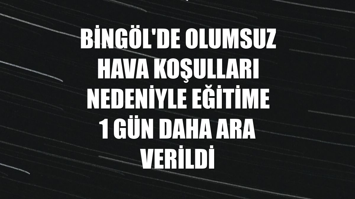 Bingöl'de olumsuz hava koşulları nedeniyle eğitime 1 gün daha ara verildi