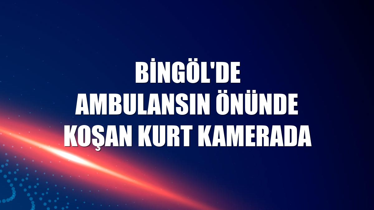 Bingöl'de ambulansın önünde koşan kurt kamerada