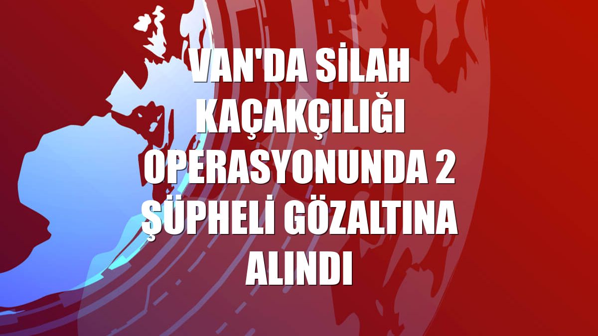 Van'da silah kaçakçılığı operasyonunda 2 şüpheli gözaltına alındı