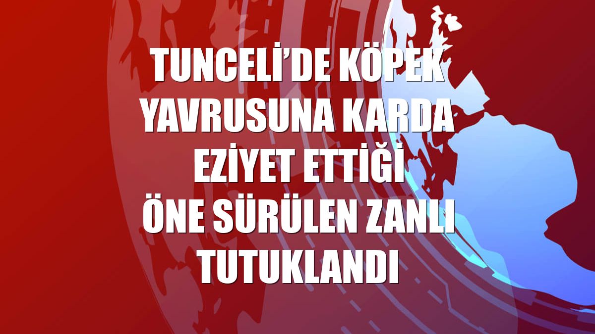 Tunceli’de köpek yavrusuna karda eziyet ettiği öne sürülen zanlı tutuklandı