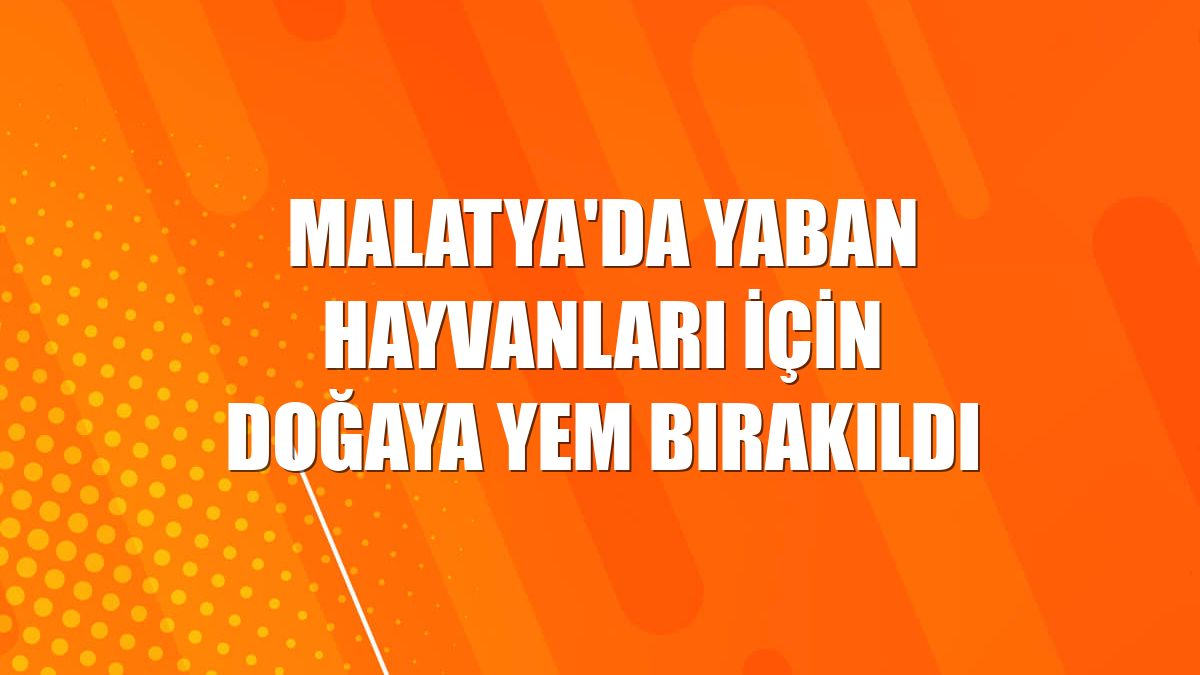 Malatya'da yaban hayvanları için doğaya yem bırakıldı