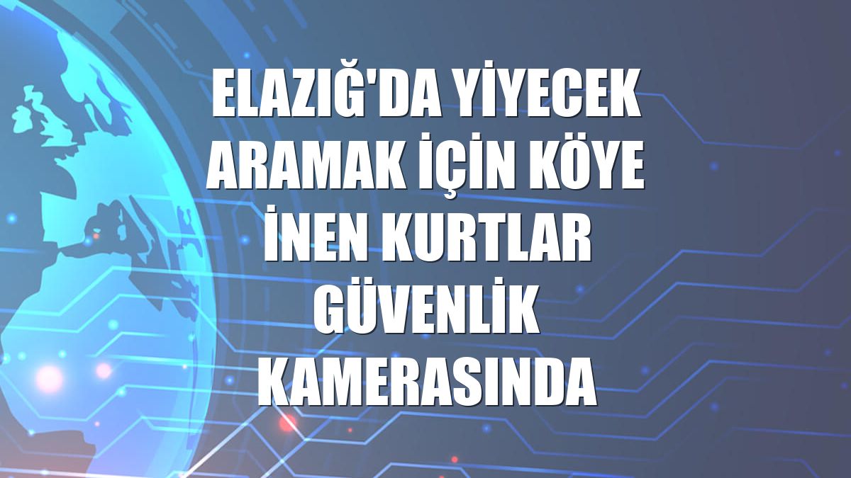 Elazığ'da yiyecek aramak için köye inen kurtlar güvenlik kamerasında