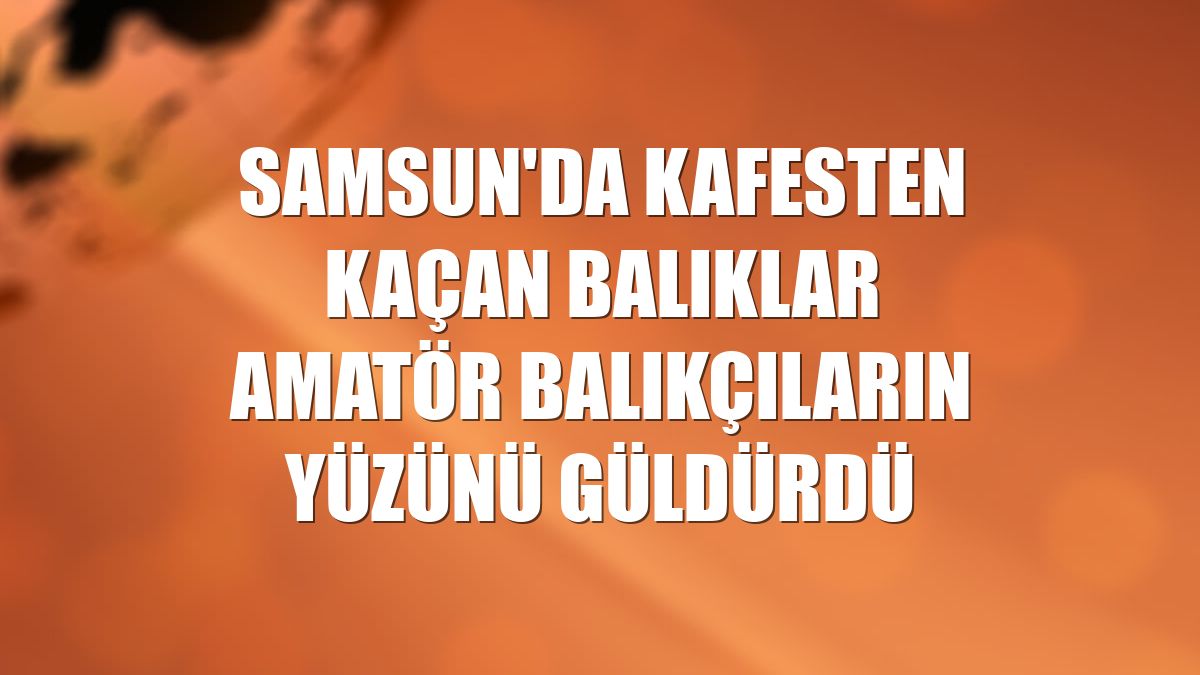 Samsun'da kafesten kaçan balıklar amatör balıkçıların yüzünü güldürdü