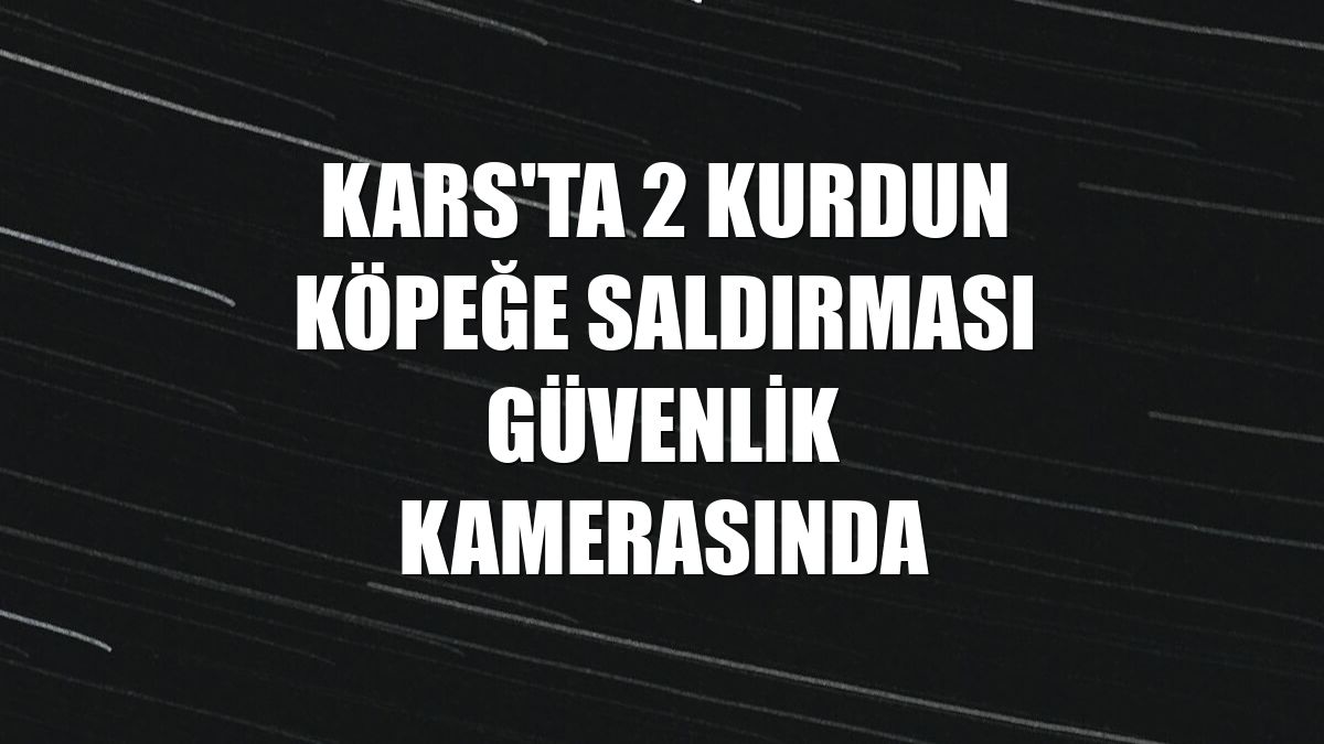 Kars'ta 2 kurdun köpeğe saldırması güvenlik kamerasında