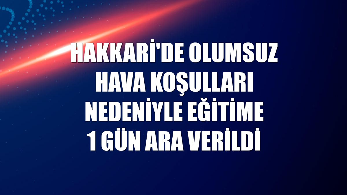 Hakkari'de olumsuz hava koşulları nedeniyle eğitime 1 gün ara verildi