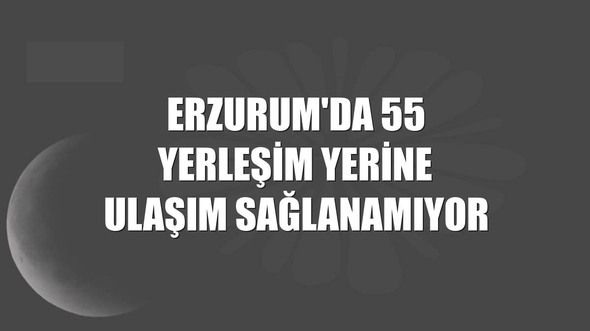 Erzurum'da 55 yerleşim yerine ulaşım sağlanamıyor