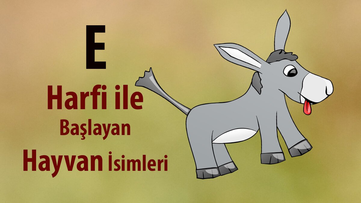 E İle Hayvan: E Harfi ile Başlayan Hayvan İsimleri