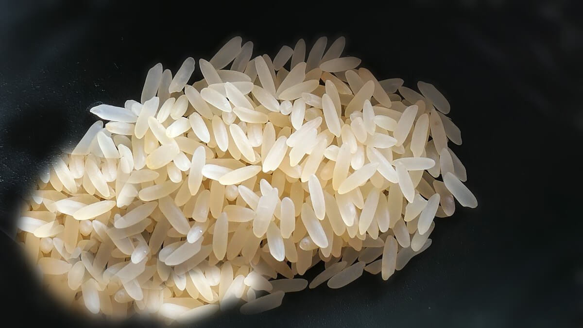 Pirinç