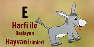 E İle Hayvan