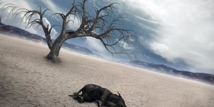 Küresel Isınmanın Tanımı