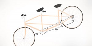 İki kişilik bisiklete ne denir