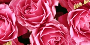 Anneler Günü Sözleri