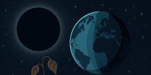 Işık Olmasaydı Canlılar Nasıl Etkilenirdi?